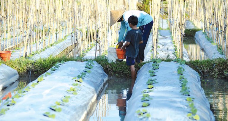 Digitalisasi Pertanian Menuju Pemulihan Ekonomi Bali di Masa Pandemi